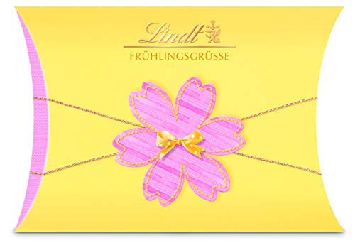 Lindt Frühlingsgrüße Kissenpackung, Geschenk zu Ostern in drei Farben (grün,geld,blau) erhältlich, 120 g von Lindt