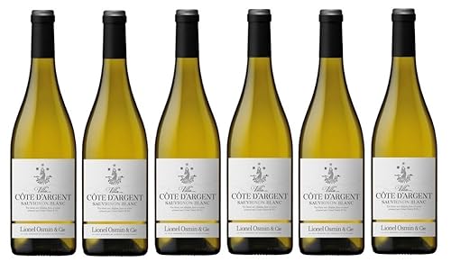 6x 0,75l - 2023er - Lionel Osmin & Cie - Villa - Côte d'Argent - Sauvignon Blanc - Sud-Ouest I.G.P. - Frankreich - Weißwein trocken von Lionel Osmin & Cie