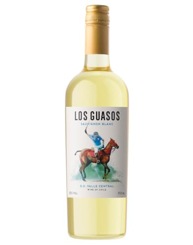 Valle Central DO Sauvignon Blanc Los Guasos 2022 0,75 ℓ von Los Guasos