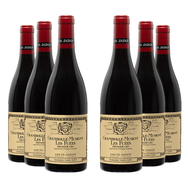 Louis Jadot : Chambolle-Musigny 1er cru "Les Fuées" Dom. Louis Jadot 2023 von Louis Jadot