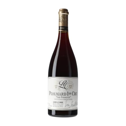 Lucien Le Moine Les Epenots Premier Cru Spätburgunder Pommard 75 cl Rotwein von Lucien Le Moine Grands Crus