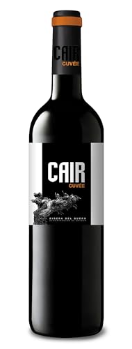 Luis Cañas Cair Cuvée Luci & Begoña, Ribera del Duero D.O trocken 2013 (1 x 0.75 l) von Luis Cañas