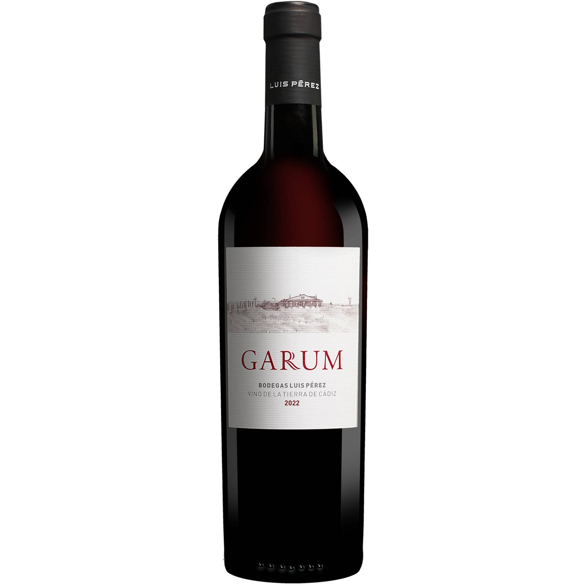 Luis Pérez »Garum« 2022  0.75L 13.5% Vol. Rotwein Trocken aus Spanien von Luis Pérez