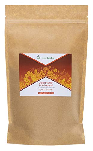 Japanisches Knöterichpulver (250g) von Lymeherbs