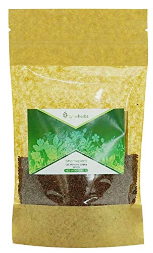 Mimosa Pudica Getrocknete Samen, 100g von Lymeherbs