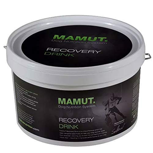 MAMUT Complete Recovery Drink 800g | Nahrungsergänzung von MAMUT