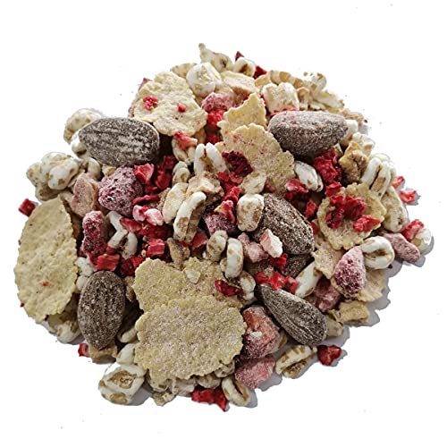 BIRCHER HERBSTGARTEN BIO MÜSLI mit gefriergetrockneten Erdbeeren I Haferkleie I Mandel & Haselnuss I Haferflocken I Vegan I 1000g von MÜSLI MÜHLE Kernig Kornig Knusprig