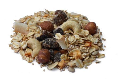 HAFERFLOCKEN Früchte Nuss BIO Müsli I mit vielen Früchten I ohne Zuckerzusatz (enthält von Natur aus Zucker) I Vegan I Amaranth I Kokoschips I 2500g von MÜSLI MÜHLE Kernig Kornig Knusprig