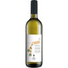 Maison Agricole D & D 2023 Muscat petit grain Valle d'Aosta DOC trocken von Maison Agricole D & D Fleurie