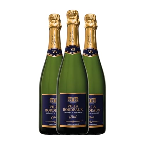 Maison Le Star Brut Crémant de Bordeaux 75 cl Sin Alcohol Weißer Sekt (Karton mit 3 Flaschen von 75 cl) von Maison Le Star