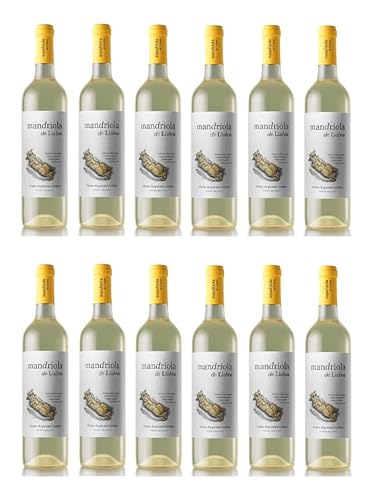 12x 0,75l - Mandriola de Lisboa - Vinho Branco - Vinho Regional Lisboa - Portugal - Weißwein trocken von Mandriola de Lisboa