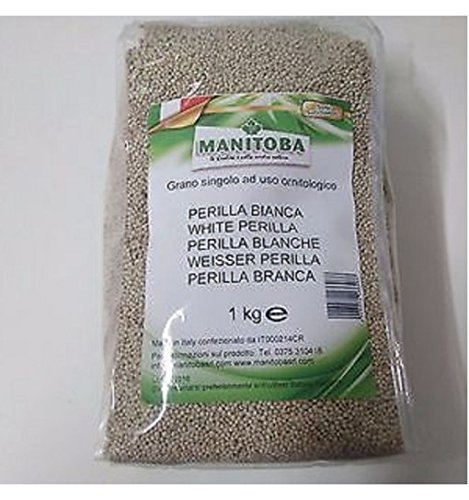 MANITOBA Weißer Perilla-Samen 1 kg von Manitoba