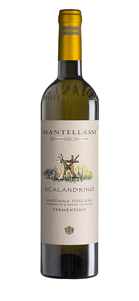 "Scalandrino" Vermentino Maremma Toscana DOC 2023 von Mantellassi