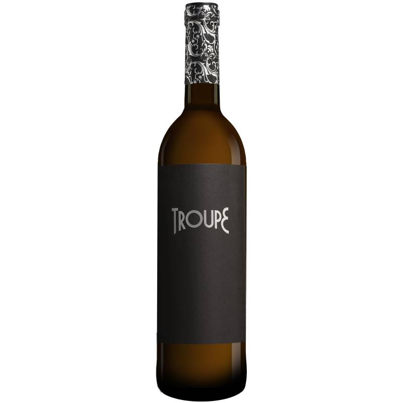 Troupe 2023  0.75L 13.5% Vol. Weißwein Trocken aus Spanien von Mar de Envero