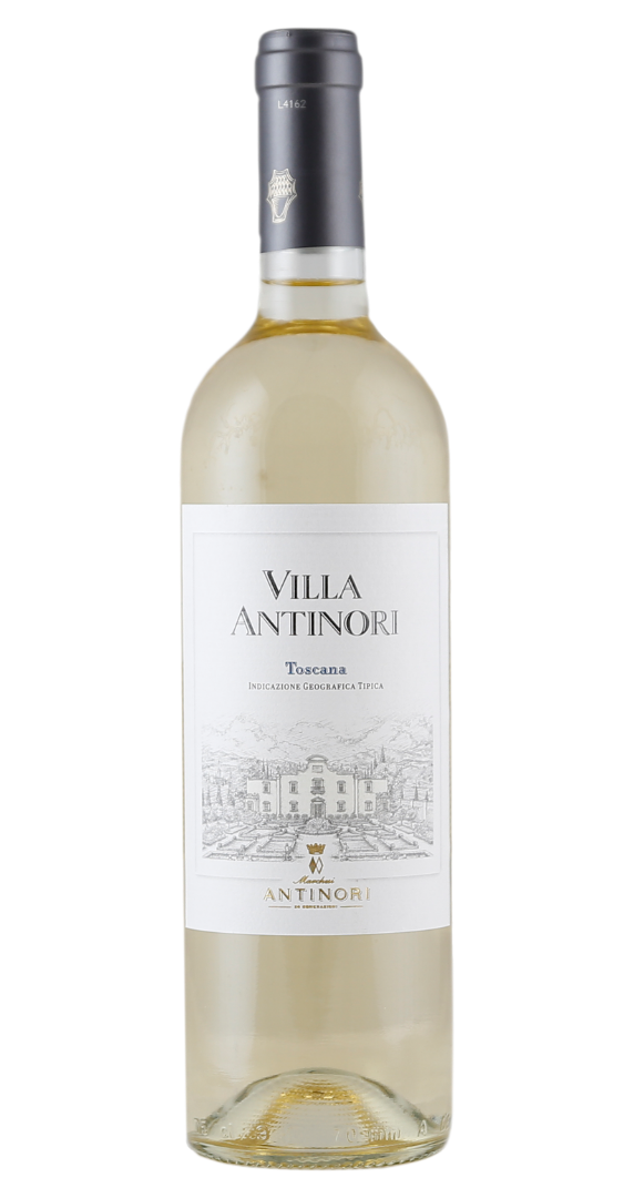 Villa Antinori Bianco 2024 von Marchesi Antinori