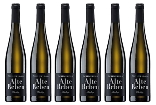 6x 0,75l - 2021er - Markus Schneider - Alte Reben - Riesling - Qualitätswein Pfalz - Deutschland - Weißwein trocken von Markus Schneider