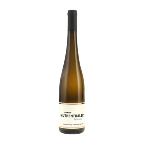 Martin Muthenthaler Vießlinger Stern Grüner Veltliner Wachau 75 cl Weißwein von Martin Muthenthaler