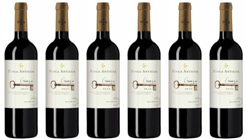 6x Martinez Bujanda Crianza Único La Mancha 2019 - Martinez Bujanda - Finca Antigua, Castilla-La Mancha - Rotwein von Martinez Bujanda - Finca Antigua