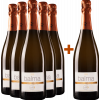 Mas Bertran 2017 Aktionspaket 5+1 Mas Bertran Brut Penedés DO von Mas Bertran