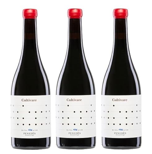 3x 0,75l - 2019er - Vallformosa - Cultivare - Sumoll & Samsó - Penedès D.O.P. - Spanien - Rotwein trocken von Mas La Roca