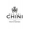 Mas dei Chini 2021 Lagrein Trentino DOC trocken von Mas dei Chini