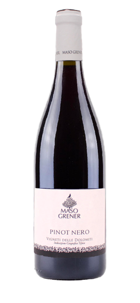 Pinot Nero Vigneti Dolomiti IGT 2023 von Maso Grener