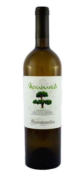 "Morabianca" Falanghina Irpinia DOC 2022 von Mastroberardino