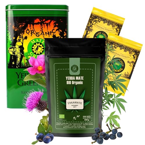 Yerba Mate Tee Yogamate BIO Set | Mate-Tee Organic Yogamate 400g mit Schlehenfrucht| Yerba Mate Green BIO 100g | Stahlbox Mate Green von Mate Green