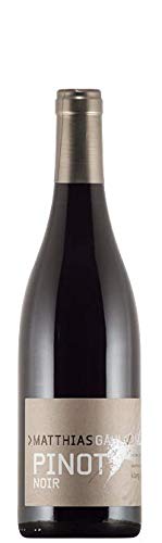 Matthias Gaul Pinot Noir Asselheim 2019 (1x 0.75L Flasche) von Matthias Gaul