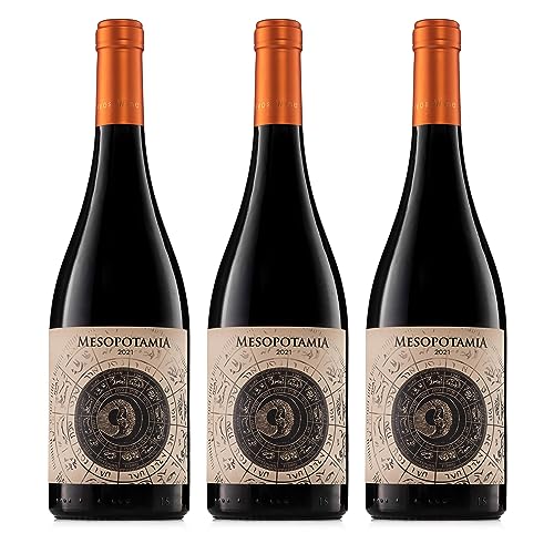 Rotwein Spanien Trocken - MESOPOTAMIA Roble 2021 (3 fls x 75 cl.) -100% Tinta de Toro - 5 Monate in 300-Liter-Fässern aus französischer Eiche Spanischer Rotwein Trocken Tempranillo von Mesopotamia