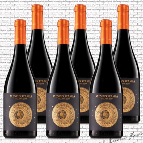 Rotwein Spanien trocken MESOPOTAMIA Eclipse 2019 (6 fls x 75 cl.) 10 Monate in 300-Liter-Fässern aus französischer Eiche Tempranillo Spanischer wein von Mesopotamia