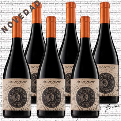 Rotwein Spanien trocken MESOPOTAMIA Roble 2021 (6 fls x 75 cl.) 100% Tinta de Toro (Tempranillo) 5 Monate in 300-Liter-Fässern aus französischer Eiche. Spanischer rotwein trocken von Mesopotamia