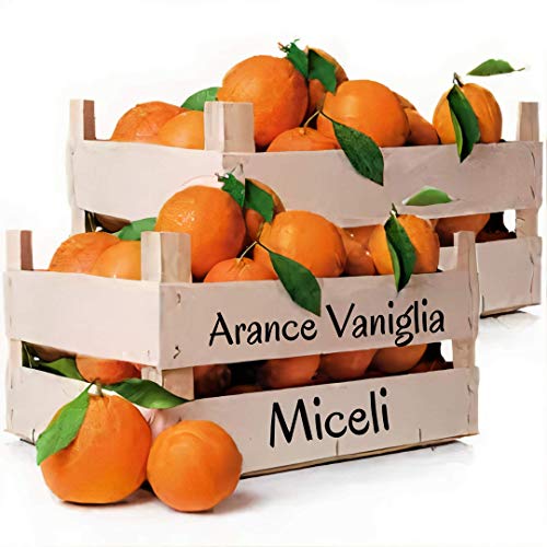 Box mit 9 Kilogramm Sizilianischen VanilleOrangen Italienische Orangen von Miceli