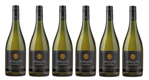 6x 0,75l - 2023er - Miguel Torres - Cordillera - Reserva Especial - Sauvignon Blanc - Valle del Elqui D.O. - Chile - Weißwein trocken von Miguel Torres - Cordillera