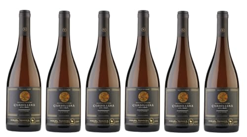 6x 0,75l - Miguel Torres - Cordillera - Reserva Especial - Chardonnay - Valle del Limarí D.O. - Chile - Weißwein trocken von Miguel Torres - Cordillera