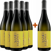 Modeano 2023 5+1 Paket Pinot Grigio Friuli DOC von Modeano