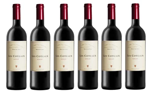 6x 0,75l - 2015er - Mont du Toit - Les Coteaux - Merlot - Wellington W.O. - Südafrika - Rotwein trocken von Mont du Toit