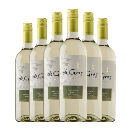 MontGras San José De Gras Sauvignon Weiß Valle Central 75 cl Weißwein (Karton mit 6 Flaschen von 75 cl) von MontGras Agrícola San José