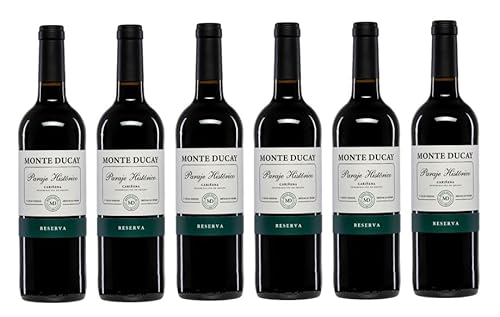 6x 0,75l - 2019er - Bodegas San Valero - Monte Ducay - Reserva - Cariñena D.O.P. - Spanien - Rotwein trocken von Monte Ducay