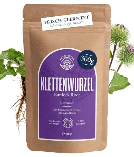 Klettenwurzel Tee Monte Nativo (300g) - Burdock root schonend getrocknet für Klettenwurzeltee - 100% natürlich und ohne Zusatzstoffe - Aromatischer Kräutertee für einen köstlichen Aufguss von Monte Nativo