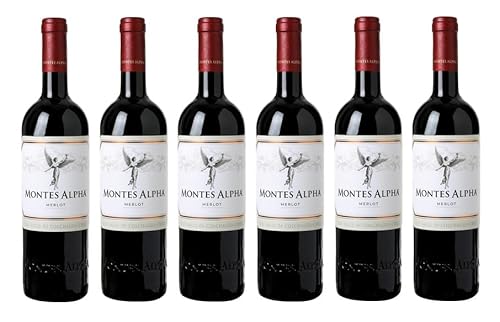 6x 0,75l - 2021er - Montes - Alpha - Merlot - Valle de Colchagua D.O. - Chile - Rotwein trocken von Montes Wines