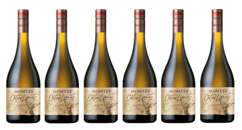 6x 0,75l - 2022er - Montes - Outer Limits - Sauvignon Blanc - Zapallar D.O. - Chile - Weißwein trocken von Montes Wines