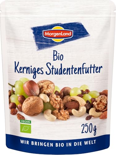 Bio Kerniges Studentenfutter 12 x 250 gr von Morgenland