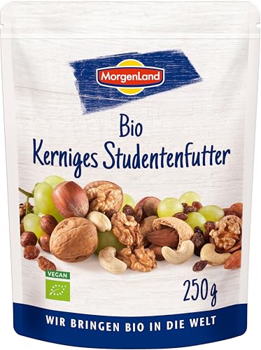 Bio Kerniges Studentenfutter von Morgenland