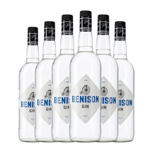 Gin Moya Benison 1 L (Karton mit 6 Flaschen von 1 L) von Moya Licors