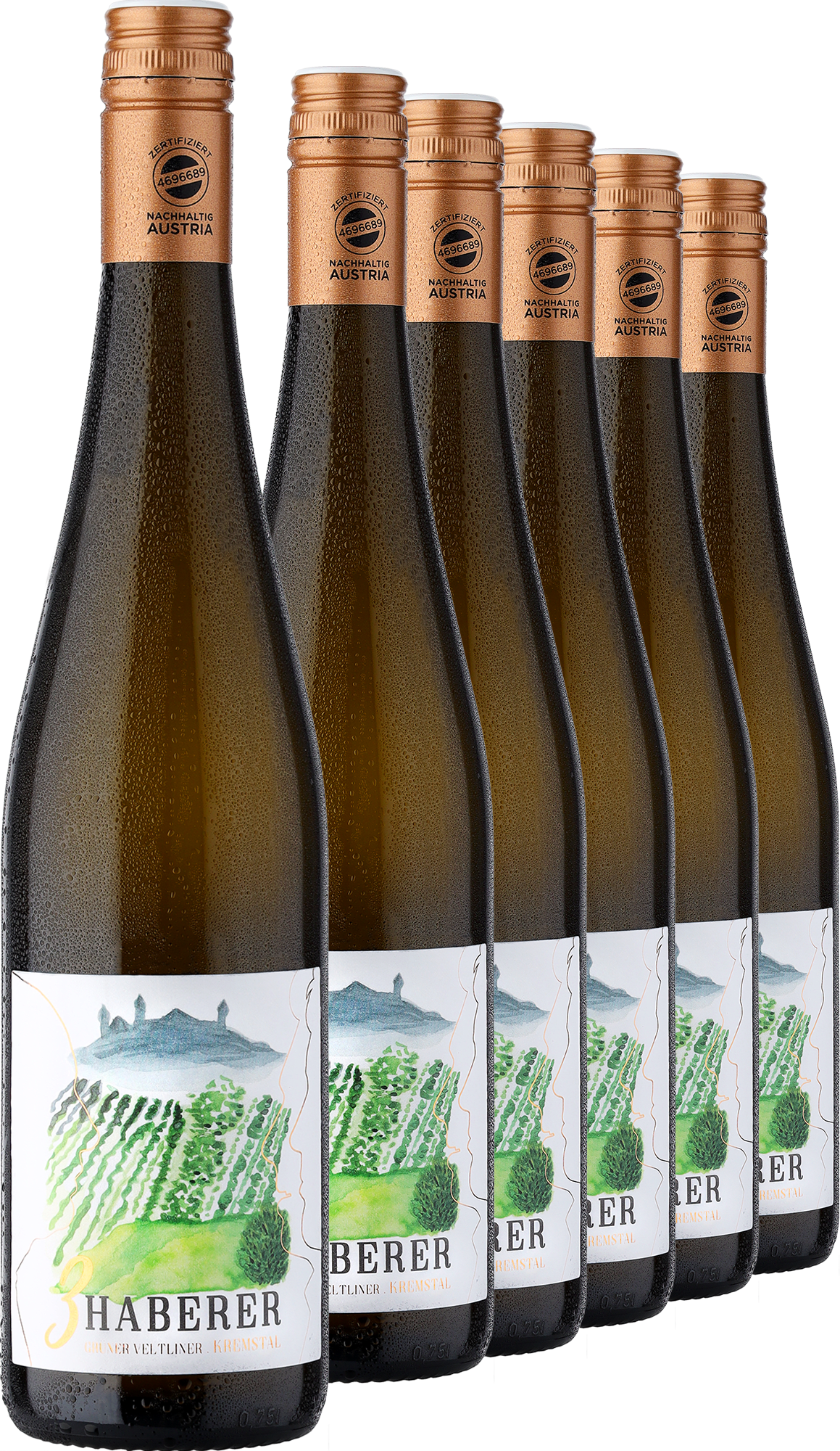 2023 Müller »3 Haberer« Grüner Veltliner im 6er-Vorratspaket von Müller