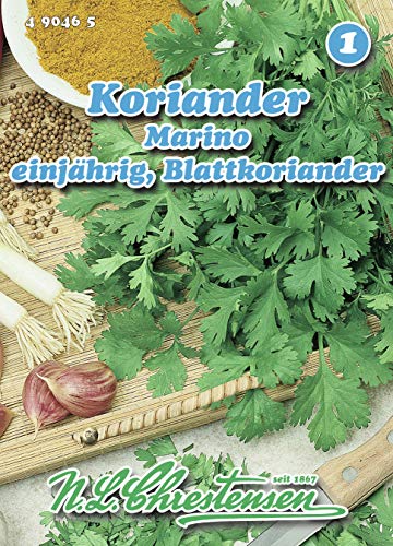 Koriander, Marino (Blattkoriander) - (Portion) von Chrestensen