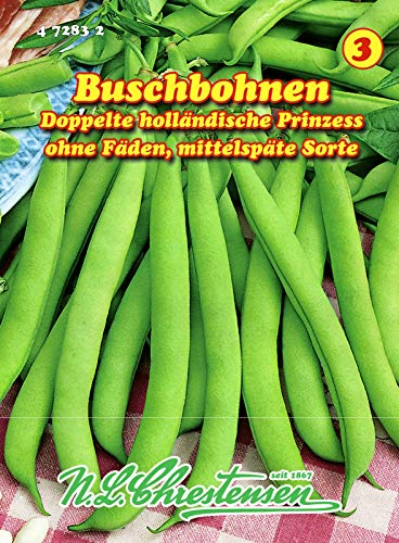 Buschbohnen, Doppelte holländische Prinzess mittelspät, grün, N.L.Chrestensen von N.L.Chrestensen