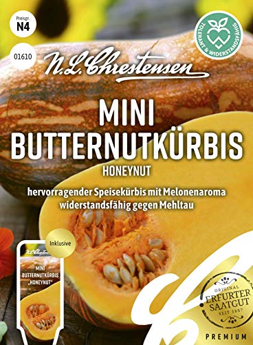 Mini Butternutkürbis Honeynut N.L.Chrestensen Samen 1610 von N.L.Chrestensen