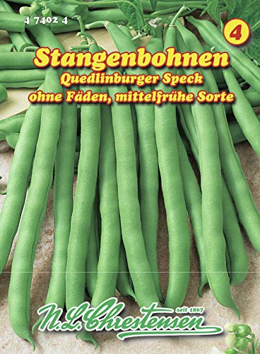 N.L. Chrestensen 474024 Stangenbohne Quedlinburger Speck (Stangenbohnensamen) von N.L.Chrestensen